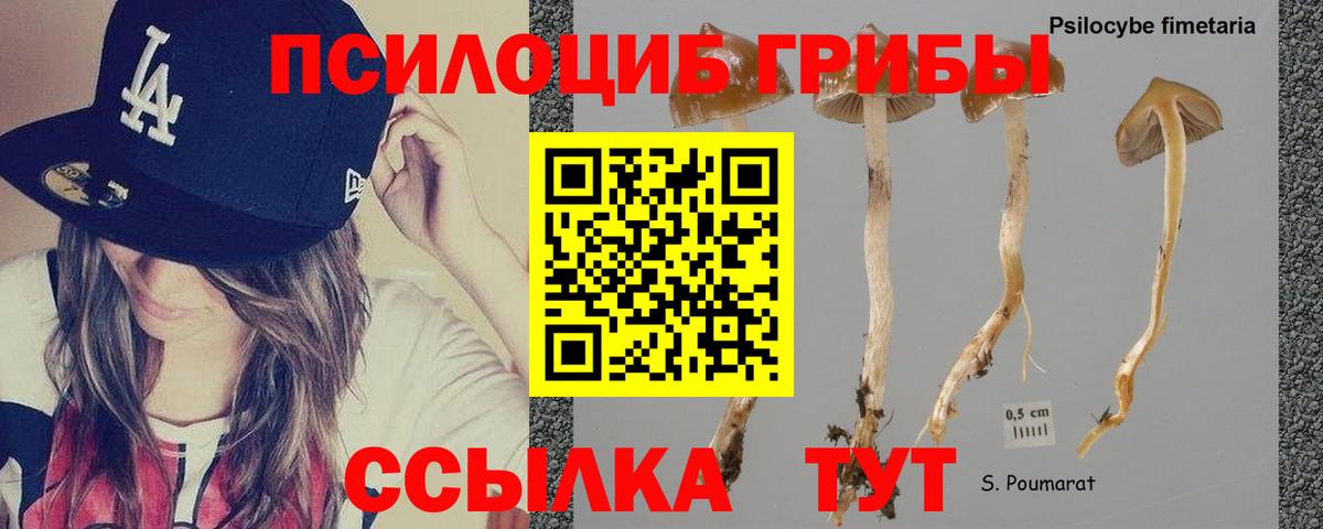 Псилоцибиновые грибы GOLDEN TEACHER  Вход с VPN  Псилоцибиновые грибы мухоморы  Семёнов 